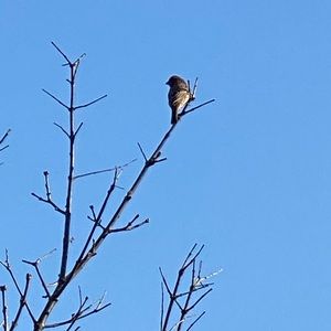 Meet your Posher, Marie